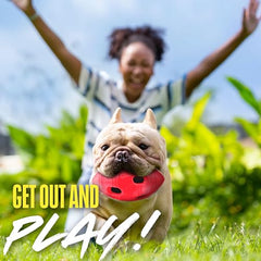 Nerf Dog Futbol, crujido interior para estimular mordisqueo seguro.