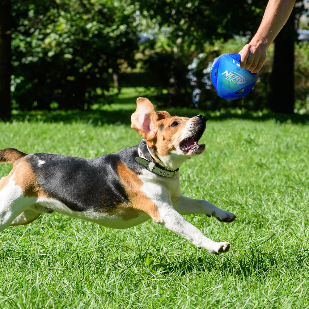 Nerf Dog Juguete interactivo para buscar y traer con perro.