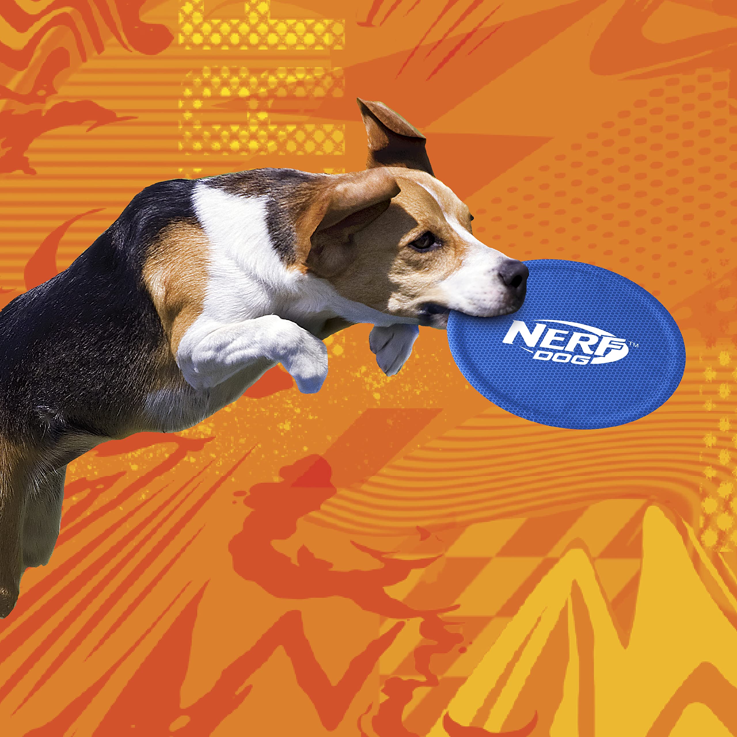 Nerf Dog Nylon Flyer ligero y duradero para lanzar y recoger.