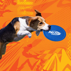 Nerf Dog Nylon Flyer ligero y duradero para lanzar y recoger.
