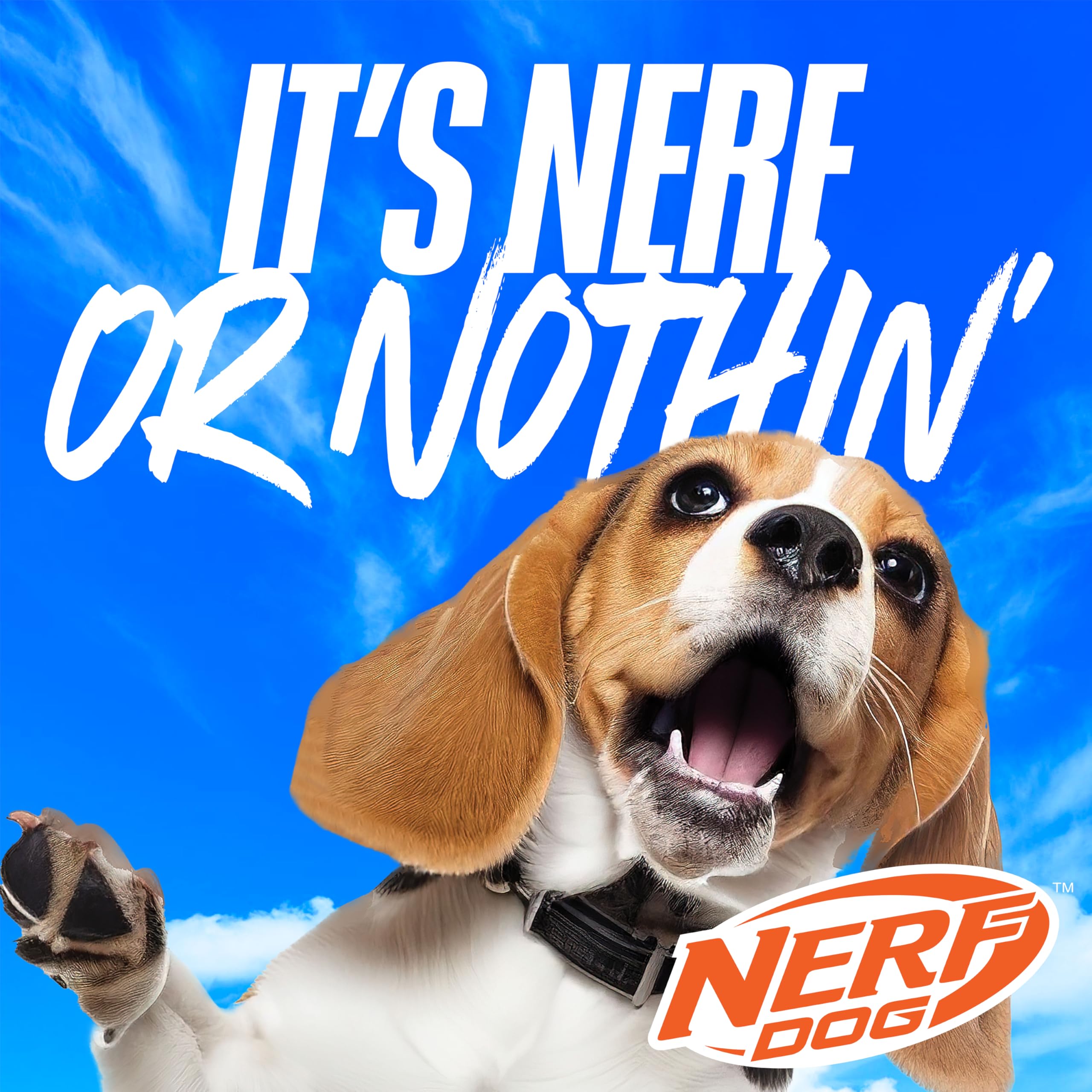 Nerf Dog patito lanzador promueve entrenamiento y diversión en cada sesión.