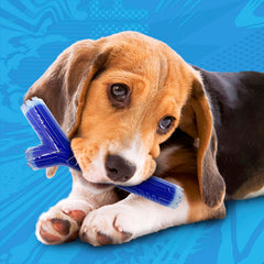Nerf Dog palo aromatizado con TPR/PP para mordidas seguras y duraderas.