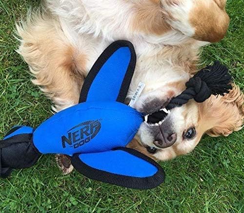Nerf Dog pato-lanzador de gran tamaño, adecuado para perros activos.