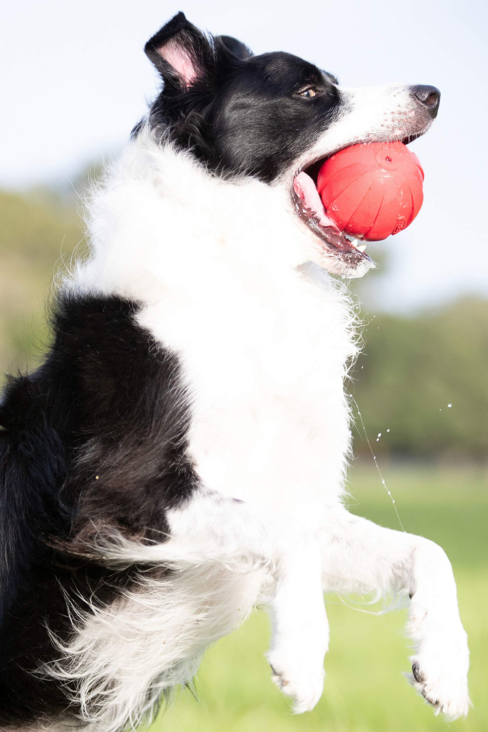 Pelota Nerf Dog de diámetro cuatro pulgadas, adecuada para perros medianos y grandes.