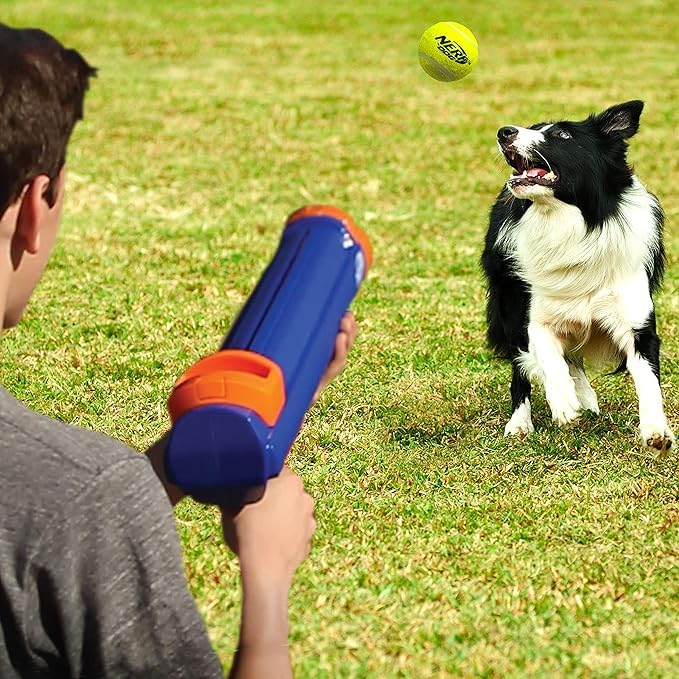 Nerf Dog Recogida sin saliva para juego limpio