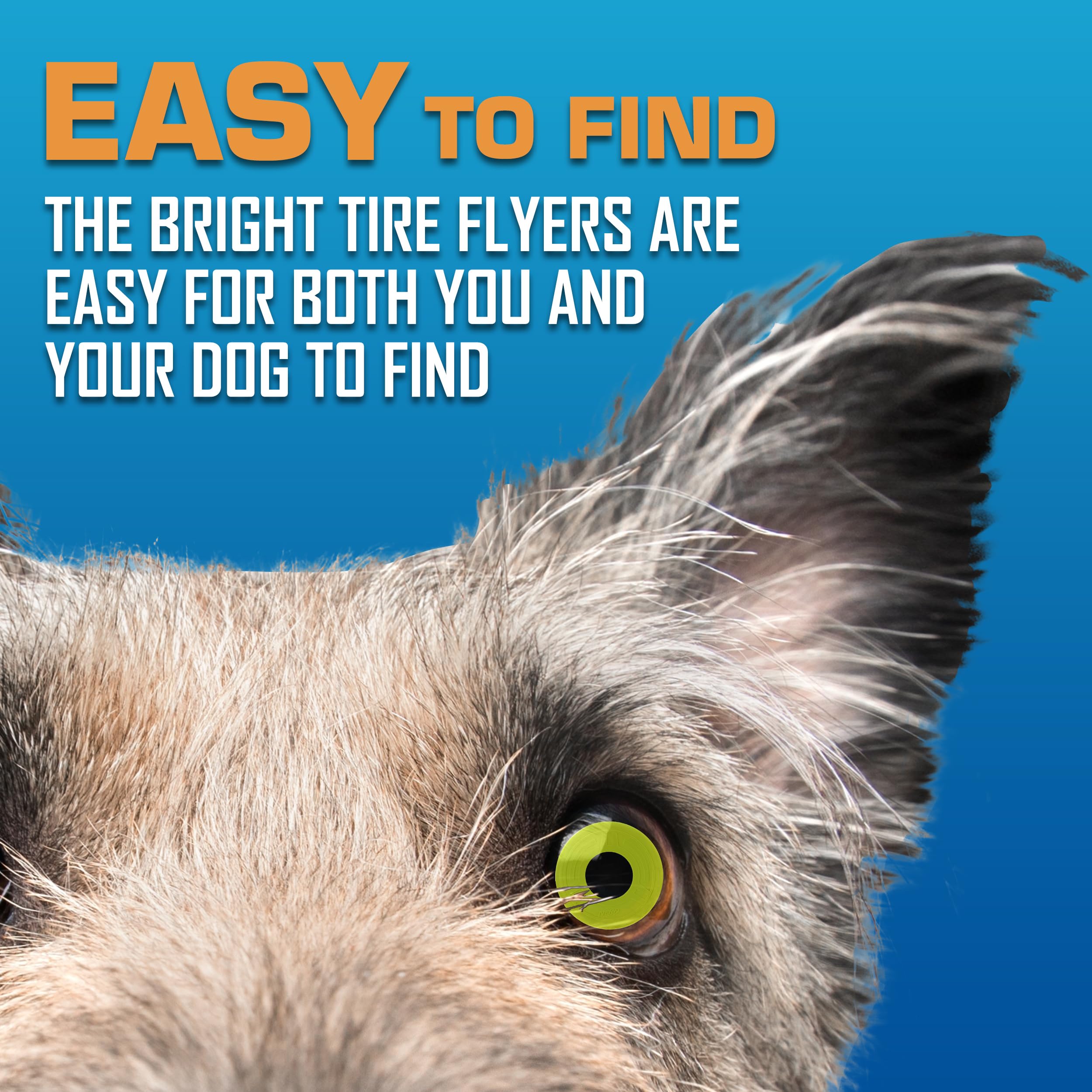 Nerf Dog Tire Flyer para perros medianos y grandes, disco duradero