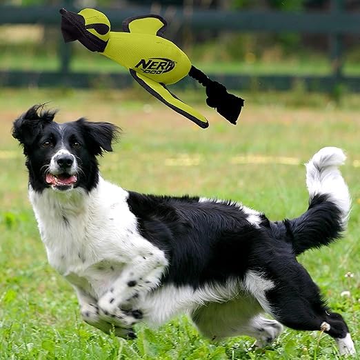 Nerf Dog Trackshot Actividad para días soleados: fomenta la actividad física.