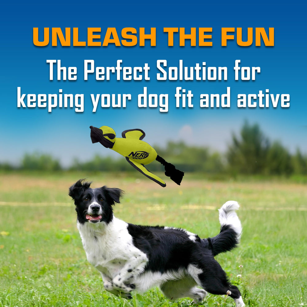 Nerf Dog Trackshot Alcance 75 pies: mantiene entretenido al perro durante horas.