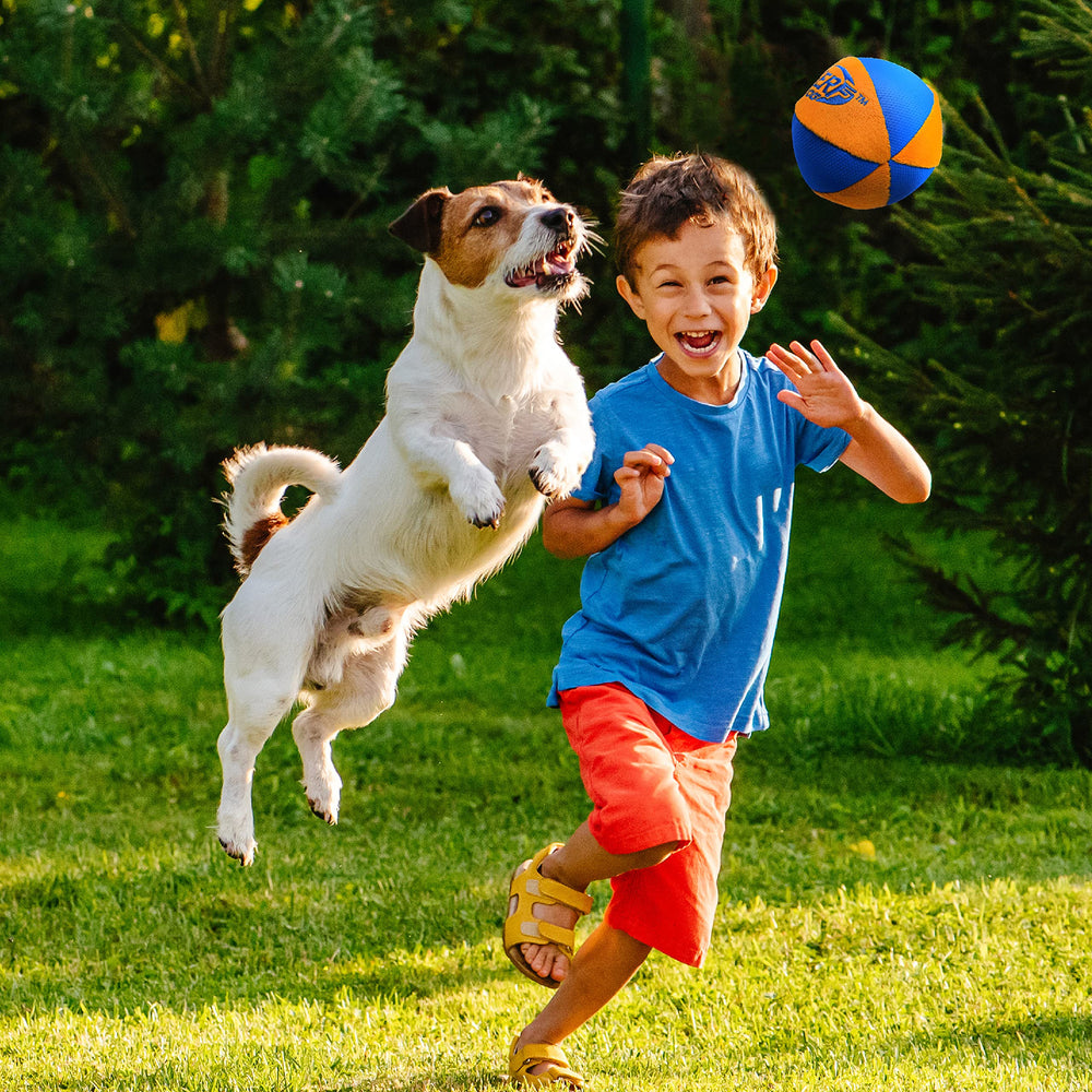 Pelota Nerf Dog Trackshot Ball para razas medias y grandes, tamaño cómodo para saltos.