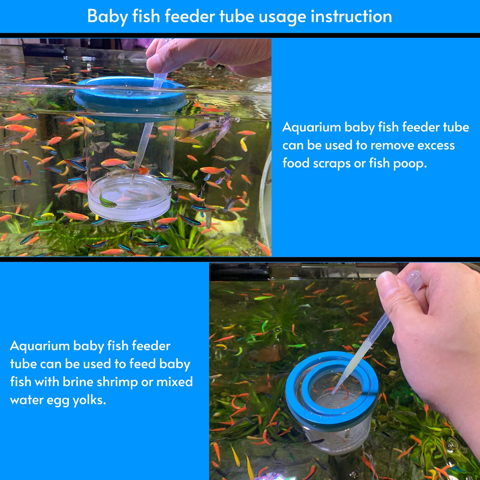 NestBasics middlefloatingbreederbox: adecuado para guppy, betta y pez payaso
