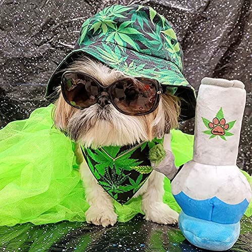 Nestpark Puppy Chiefer 3000, juguete con chirriador que capta la atención del perro.