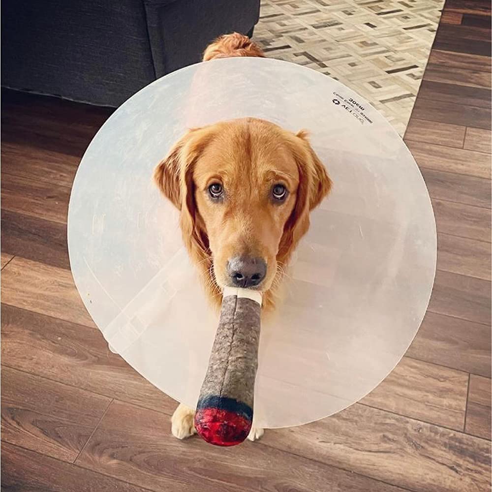 Nestpark Doggy Doobie emballage cadeau, prêt à offrir pour un anniversaire.