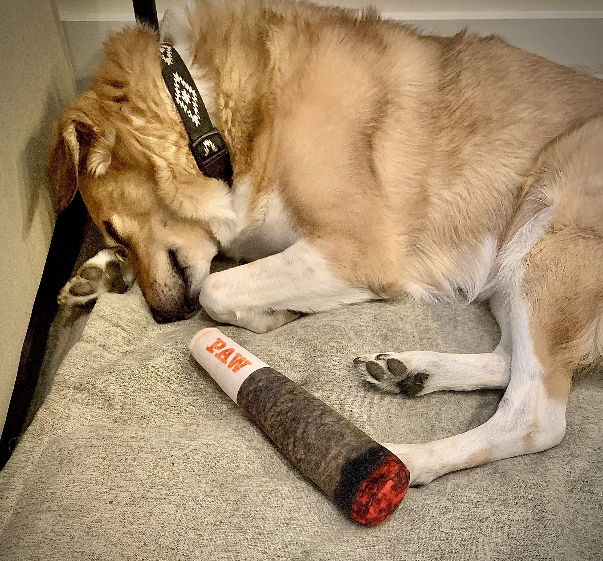 Nestpark Doggy Doobie idéal pour chiots et chiens adultes en intérieur.