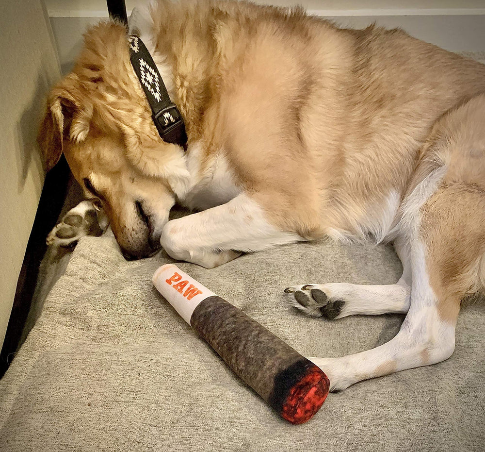 Nestpark Doggy Doobie idéal pour chiots et chiens adultes en intérieur.