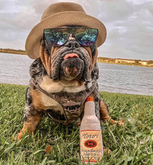 Nestpark Toto juguete divertido para fiestas de cumpleaños de perros.