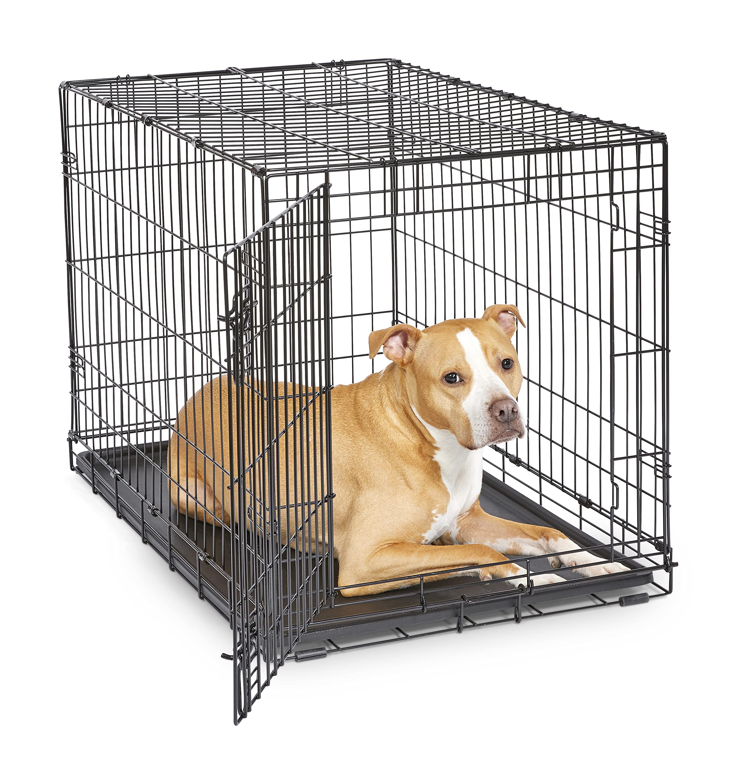 New World jaula 36 pulgadas para perros medianos, espacio cómodo para descanso seguro.