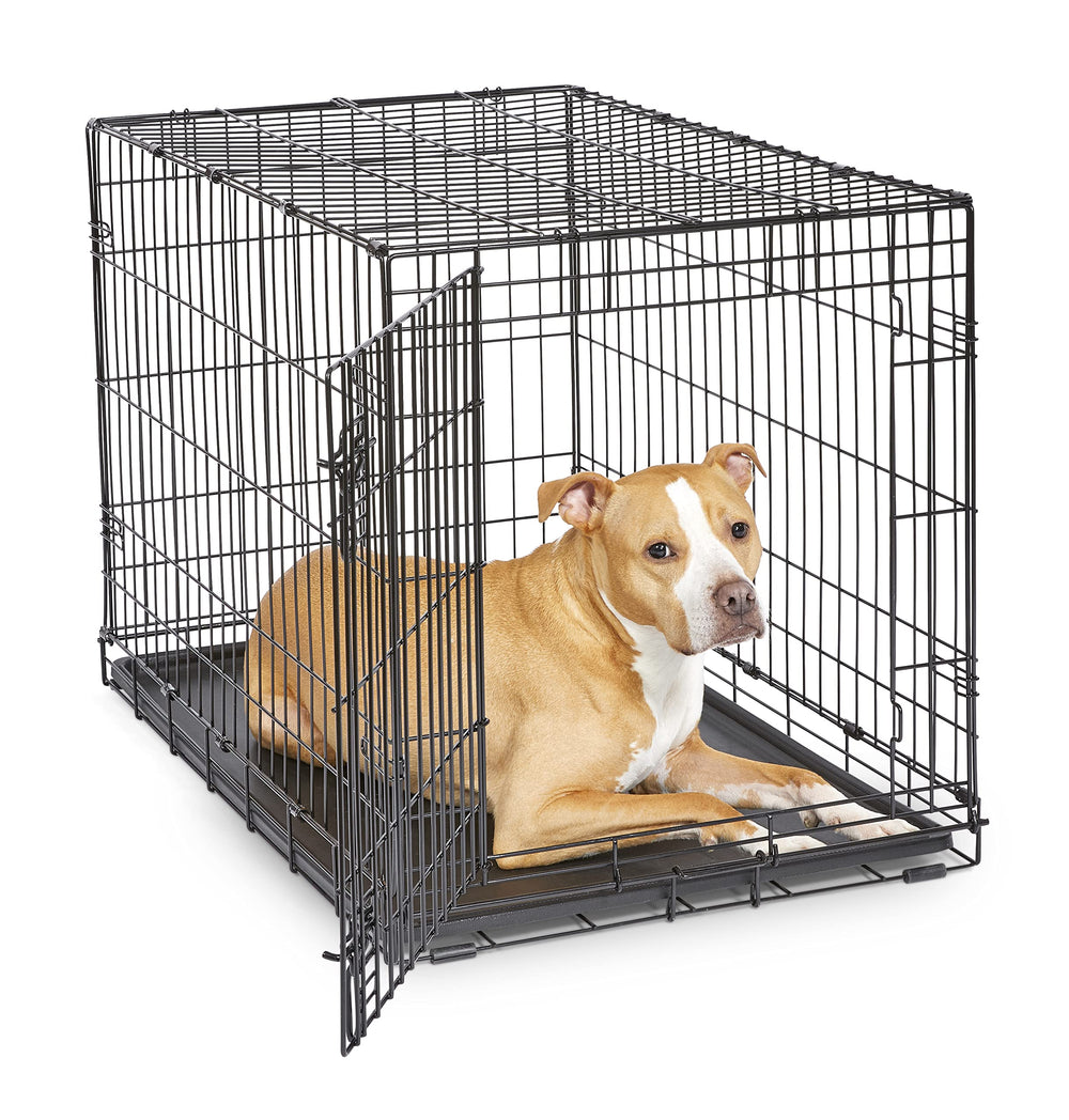 New World jaula 36 pulgadas para perros medianos, espacio cómodo para descanso seguro.