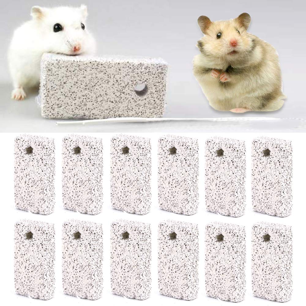 Newbested mordedor de piedra volcánica para gerbil: juego y desgaste dental natural
