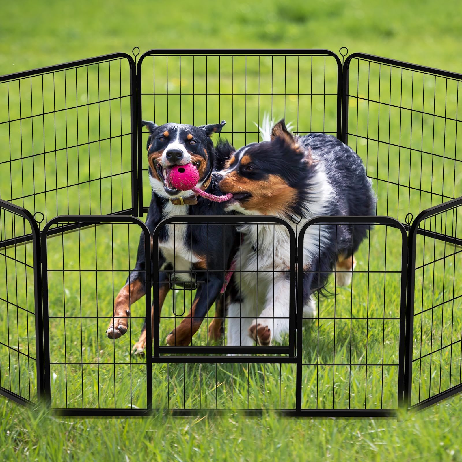 NEWBULIG interior amplio, espacio cómodo para juguetes y mascotas pequeñas.