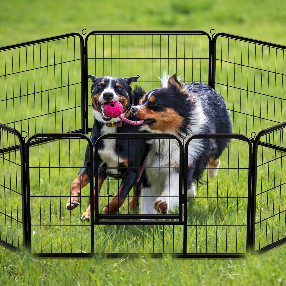 NEWBULIG interior amplio, espacio cómodo para juguetes y mascotas pequeñas.
