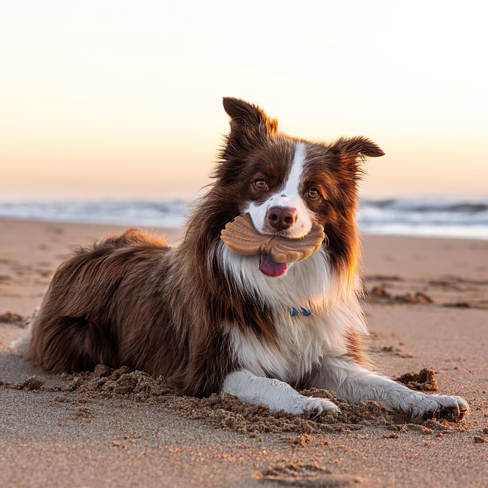 NEZIN Juguete duradero de nylon seguro para masticar perros de todas las tallas.