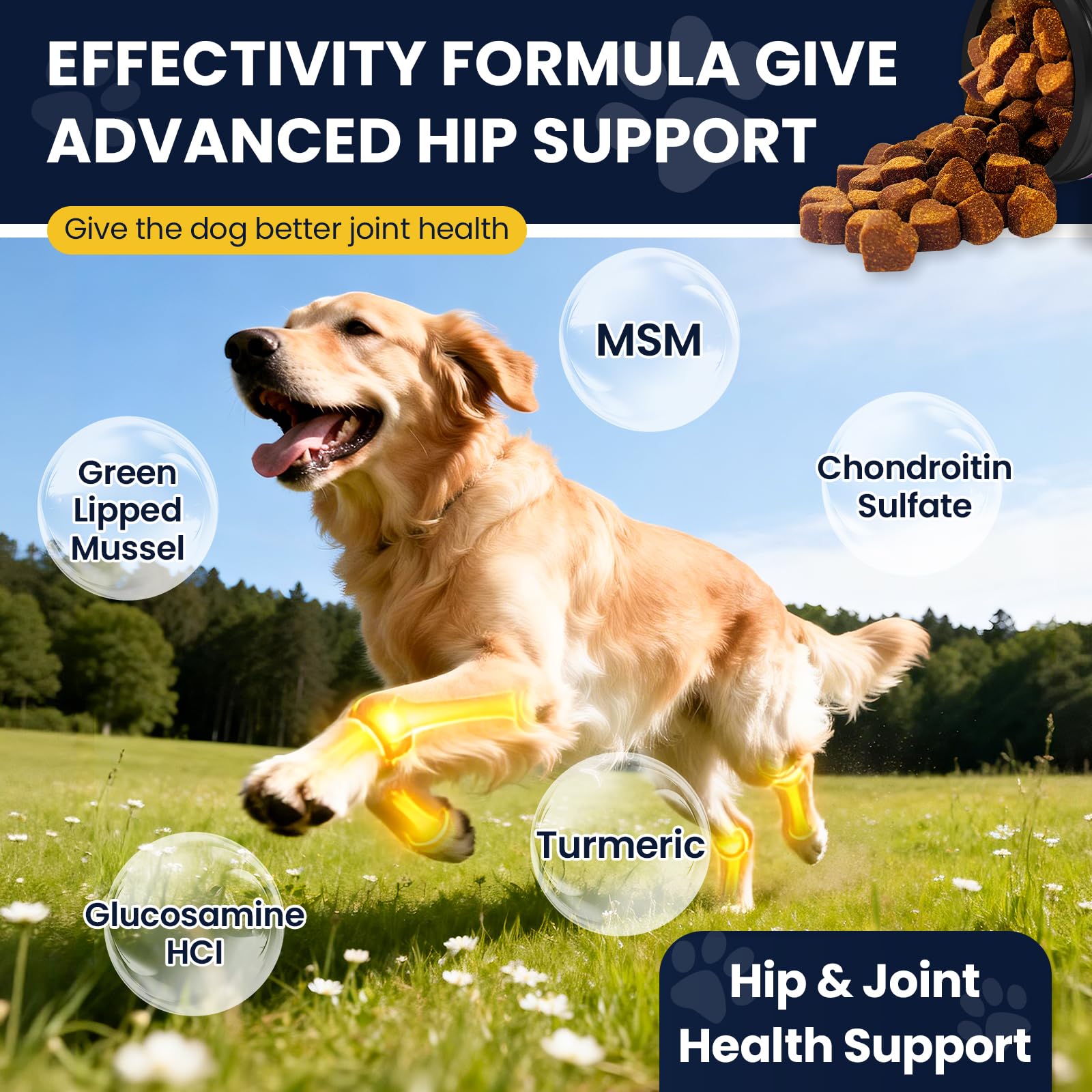 NHWHDJH curcuma para perros: apoyo suave de articulaciones