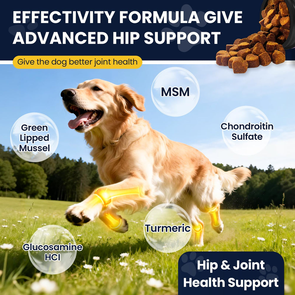 NHWHDJH curcuma para perros: apoyo suave de articulaciones