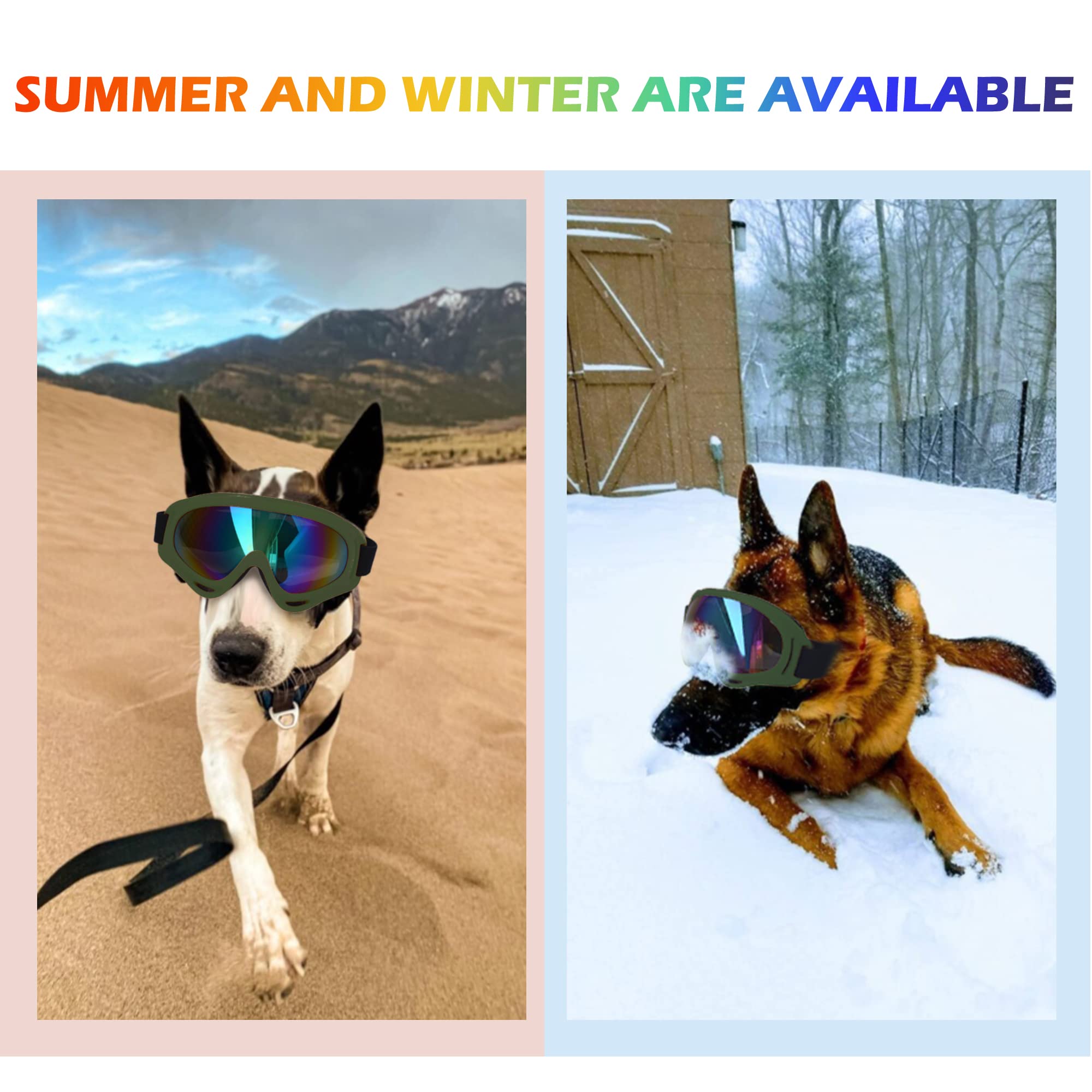 Empaque premium de NICERINC PET para gafas de perro