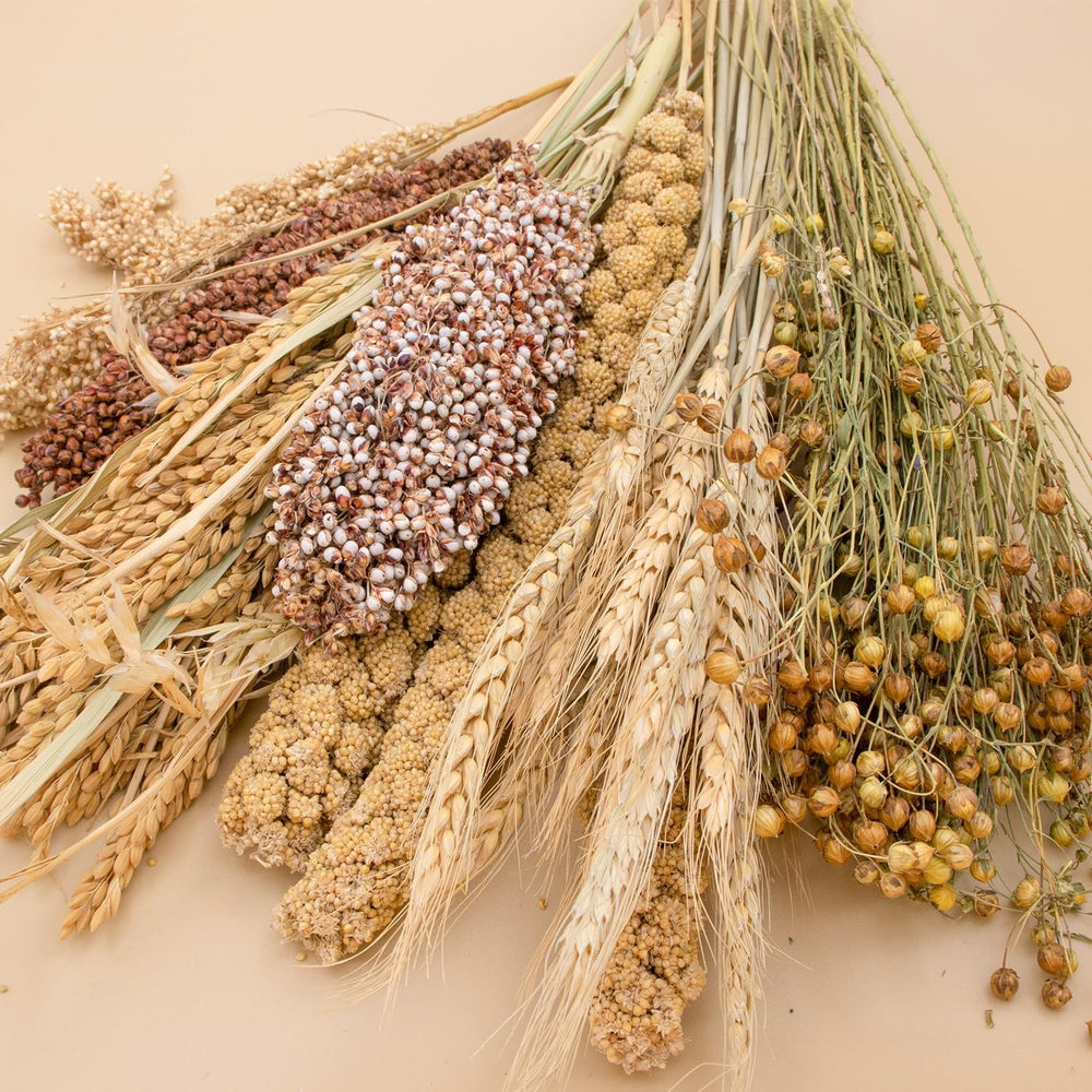 Nicerinc Pet juguetes de grano: fomenta mordisqueo seguro y juego