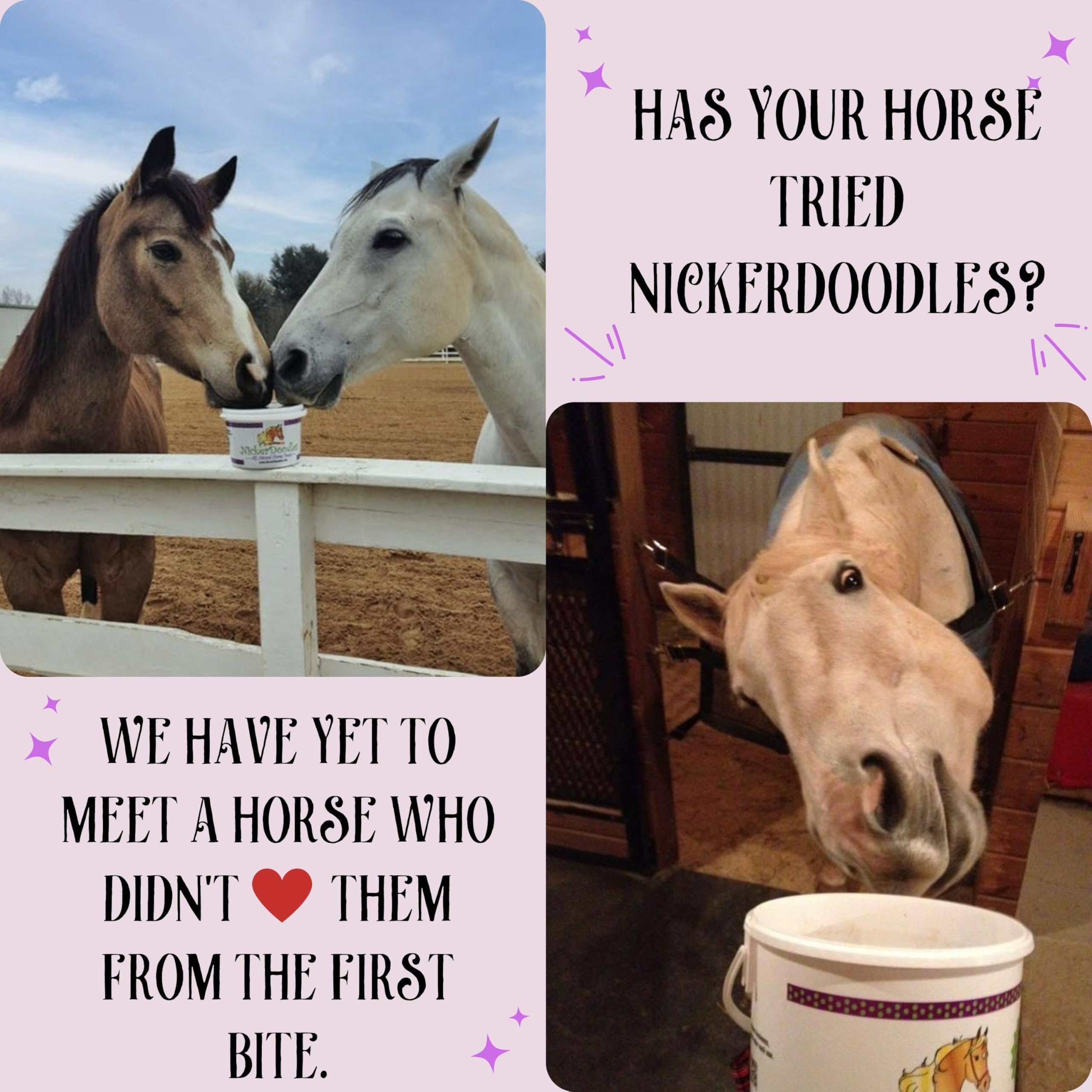 NickerDoodles Premios para Caballos, promueve un vínculo y momentos de confianza.