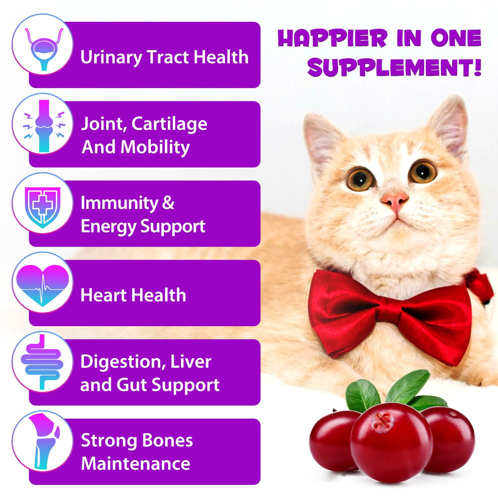 NIFEISHI gotas multivitaminas para gatos, mezcla-alimentación, apoyo a la piel y pelaje.