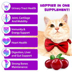 NIFEISHI gotas multivitaminas para gatos, mezcla-alimentación, apoyo a la piel y pelaje.