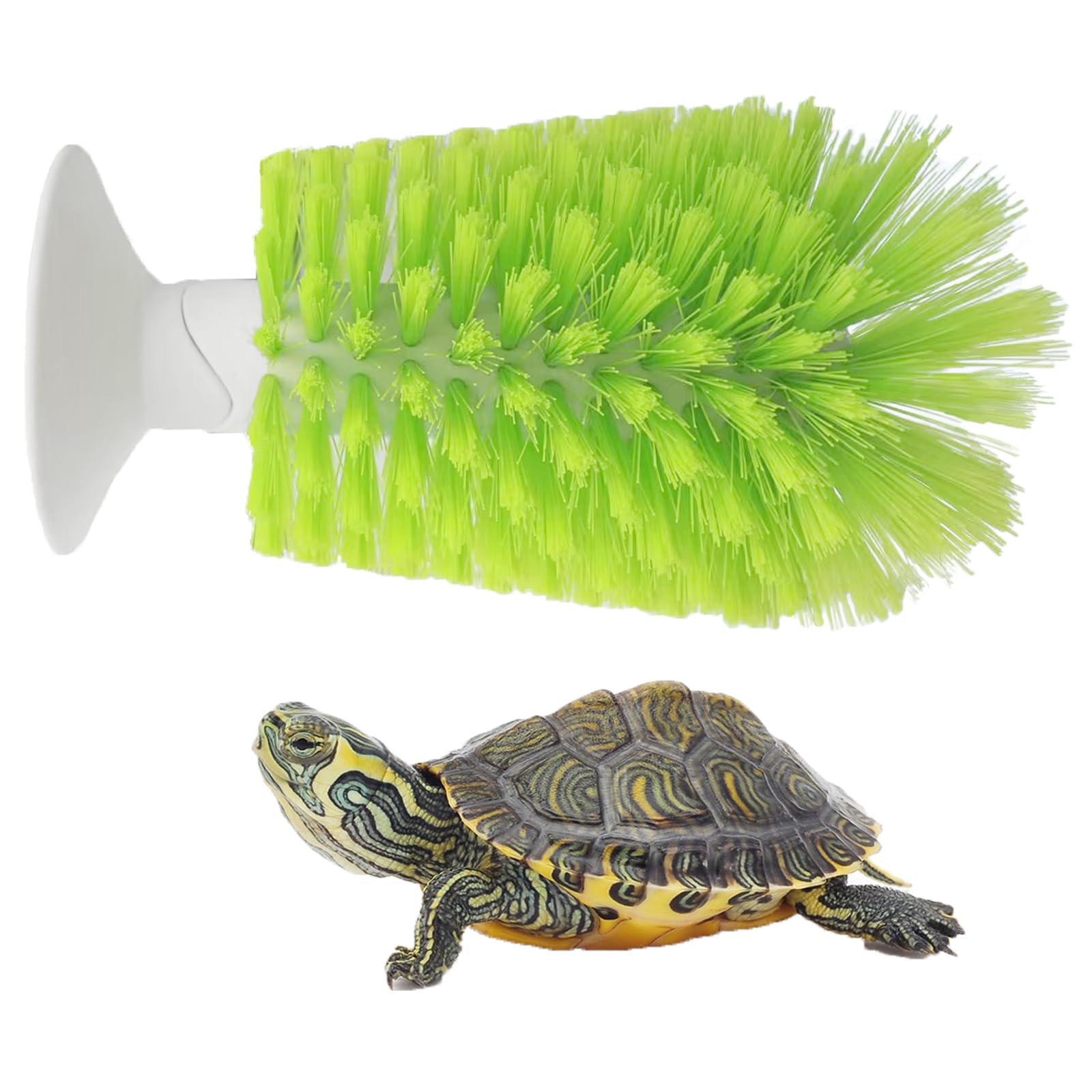 Cepillo Nilioerup para caparazón de tortuga que facilita la limpieza de escamas y suciedad.