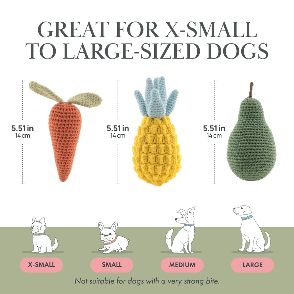 Diseño tejido a mano Nina Woof en algodón orgánico para cachorro