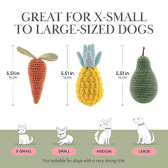 Diseño tejido a mano Nina Woof en algodón orgánico para cachorro