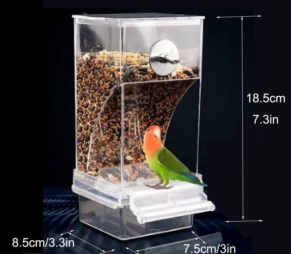 NINGVIHE compatible con periquitos, canarios y aves pequeñas.