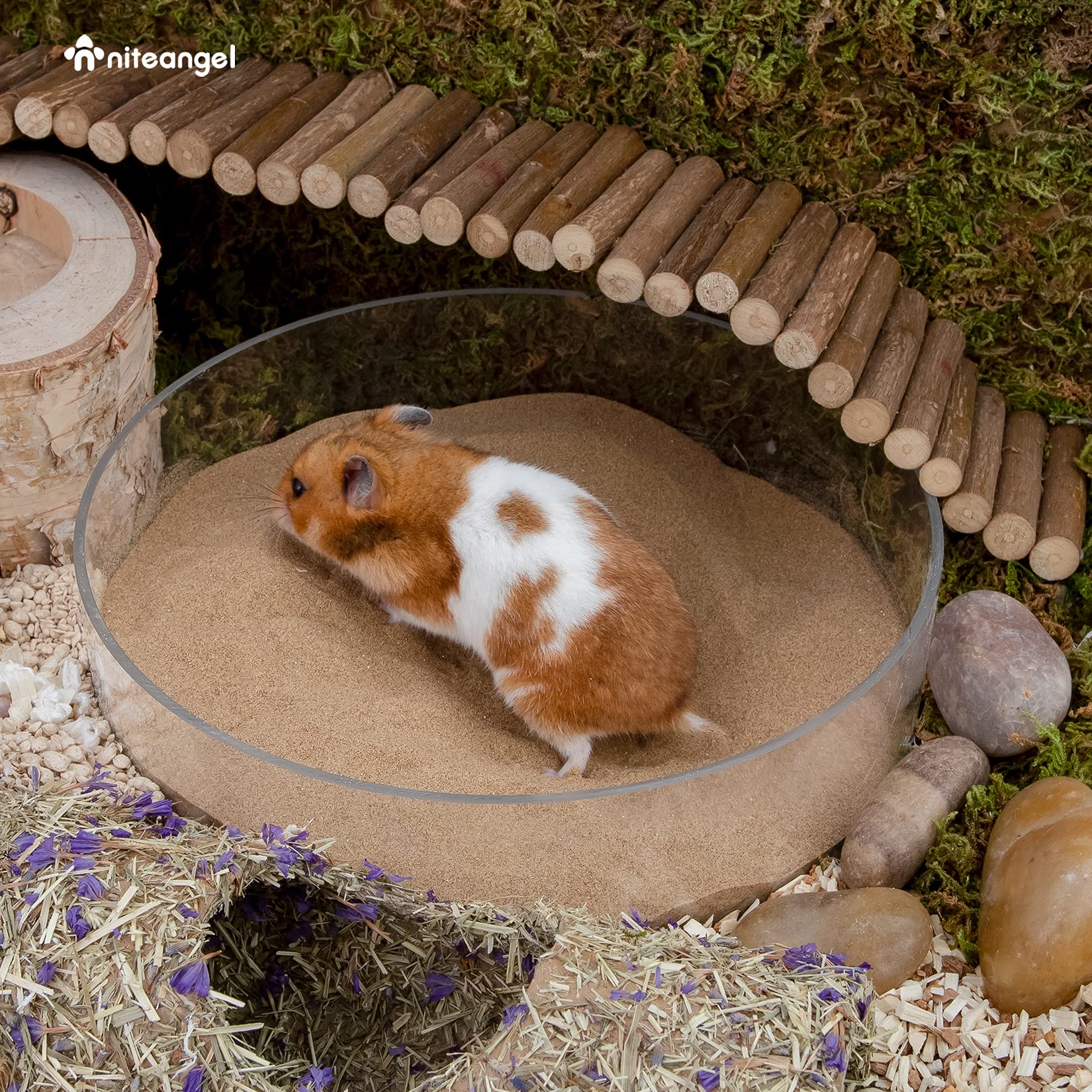 Niteangel arena desertica para terrario: decora y reorganiza el hábitat sin complicaciones