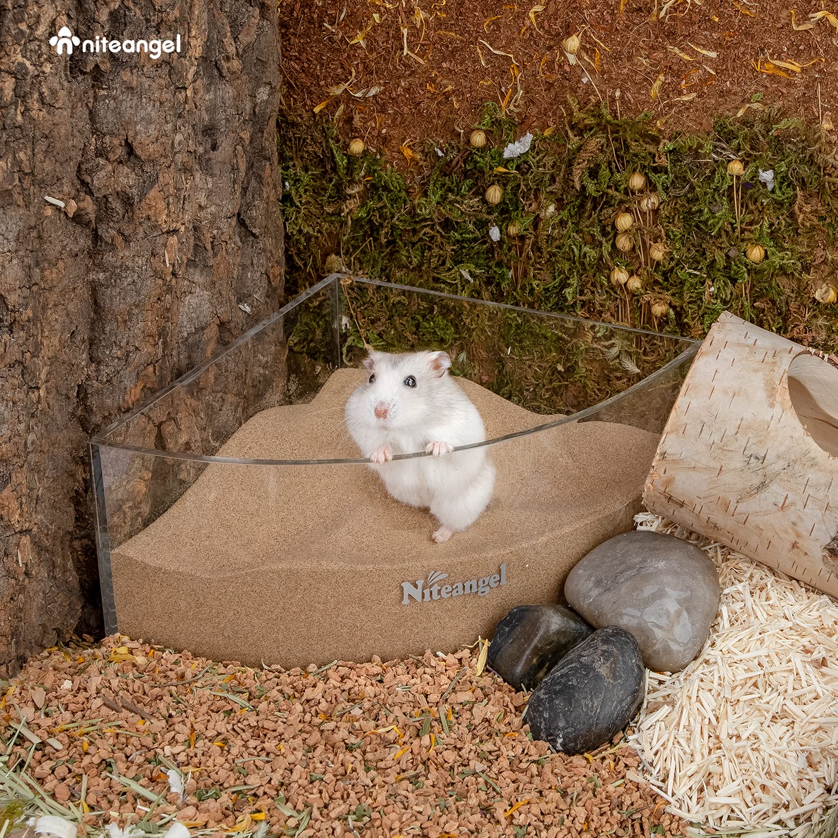 Niteangel arena desierto gerbil: ayuda a mantener el pelaje limpio.