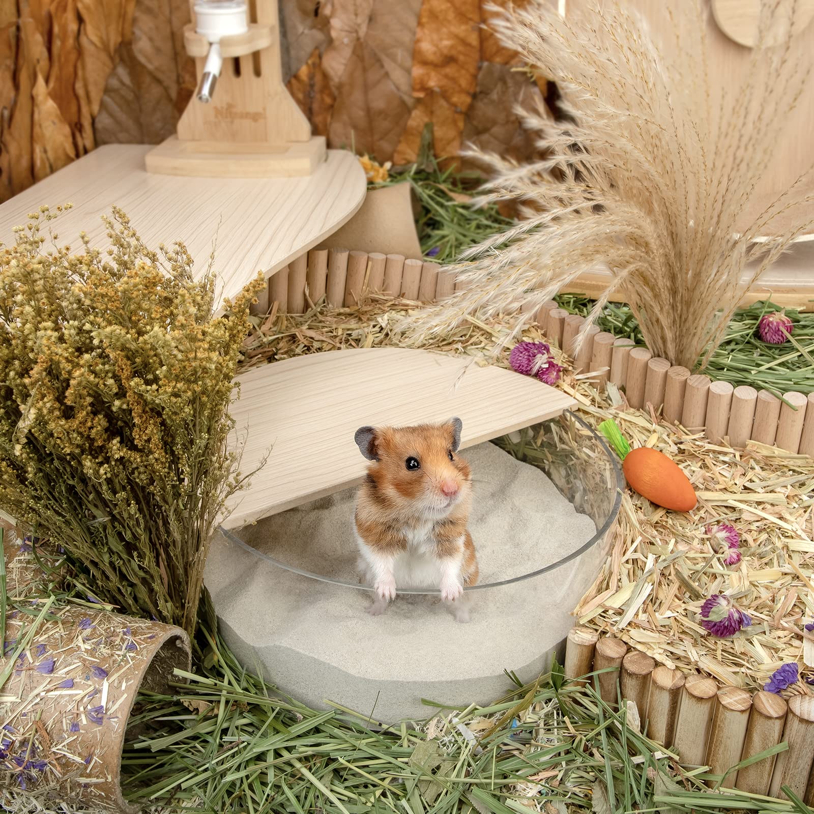 Niteangel arena-hamster-facil limpieza mejora la higiene sin complicaciones