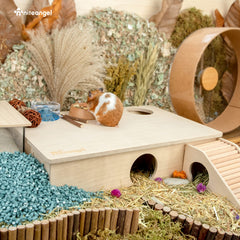 Niteangel Casa Laberinto Hamster: 6 habitaciones para dormir, esconder, guardar comida y explorar.