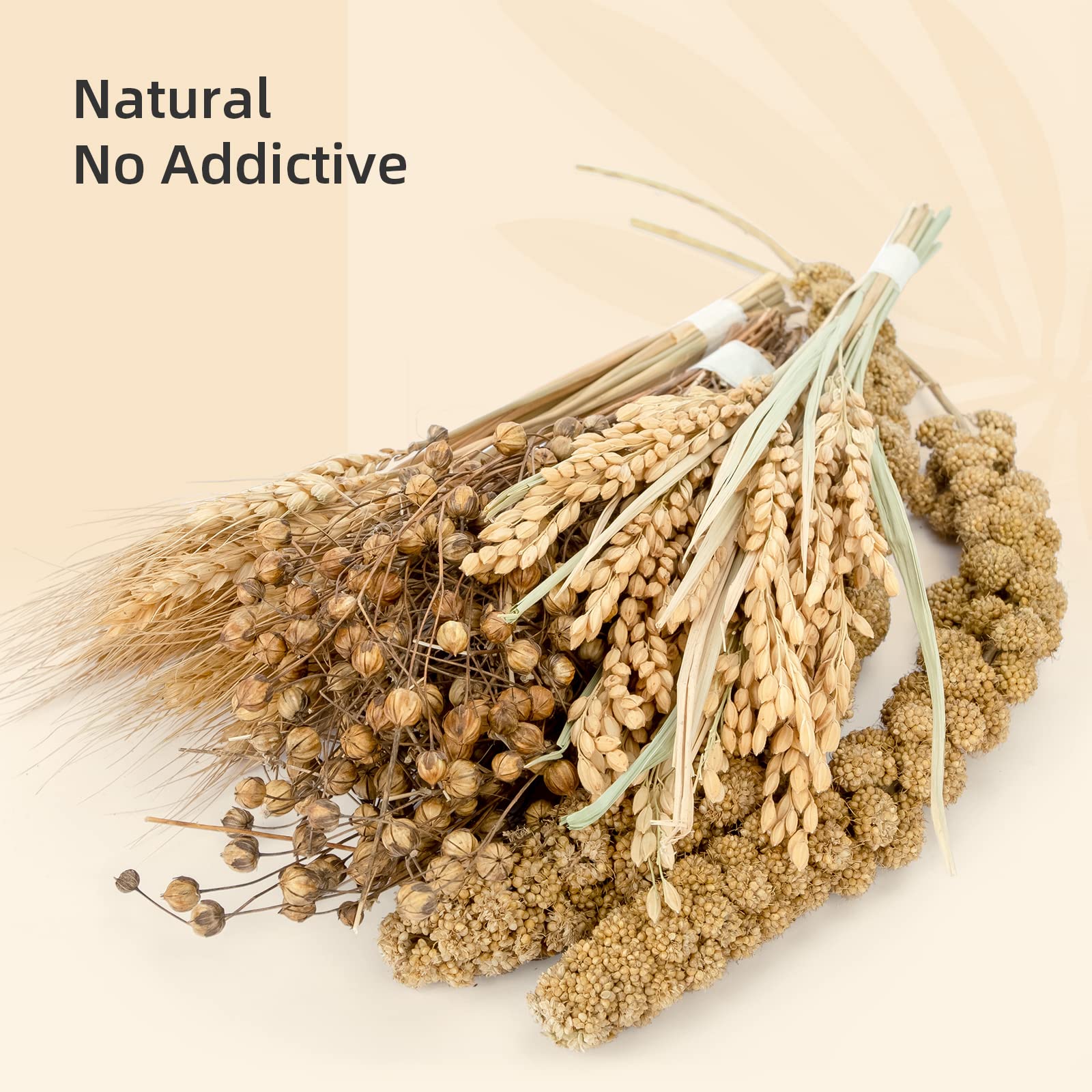 Niteangel control de olor en el hábitat: ambiente más agradable para el hámster