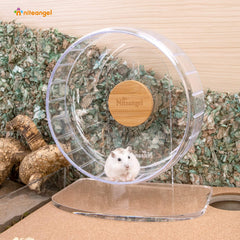 Rueda Niteangel para hamster, diseño transparente que facilita ver su movimiento nocturno.