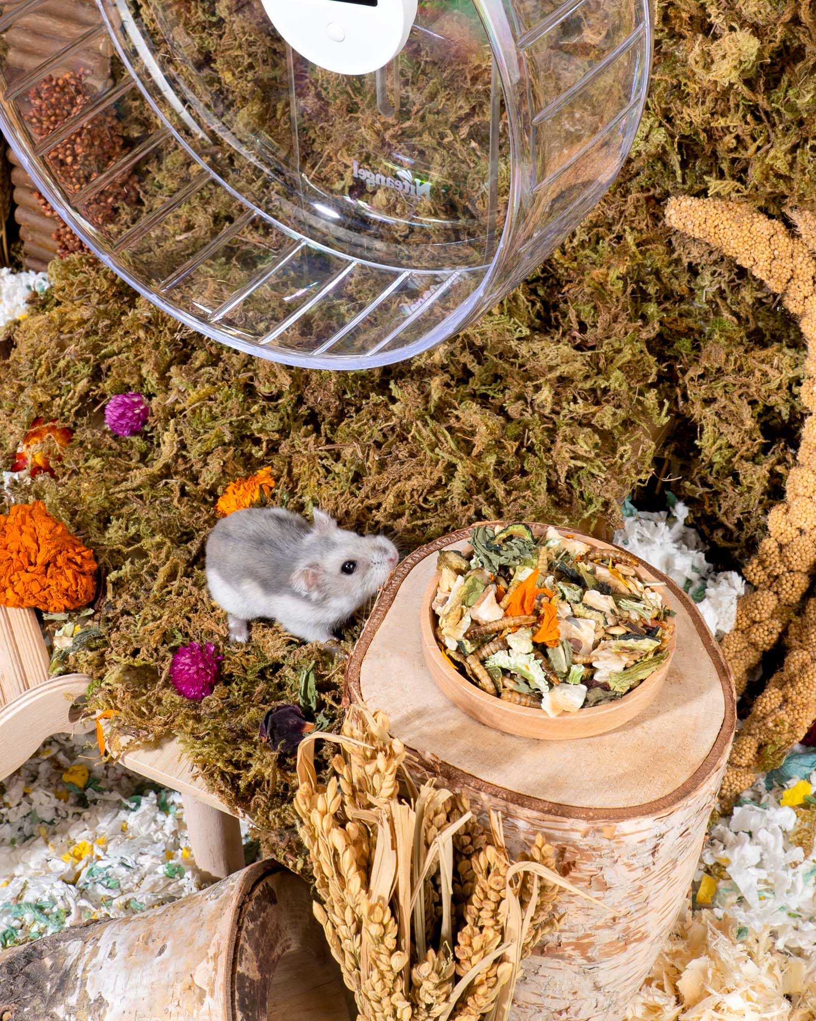 Niteangel envase práctico para alimentar al hámster.