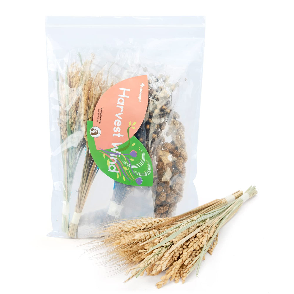 Niteangel flores naturales para hámster: cama colorida y segura para el hábitat