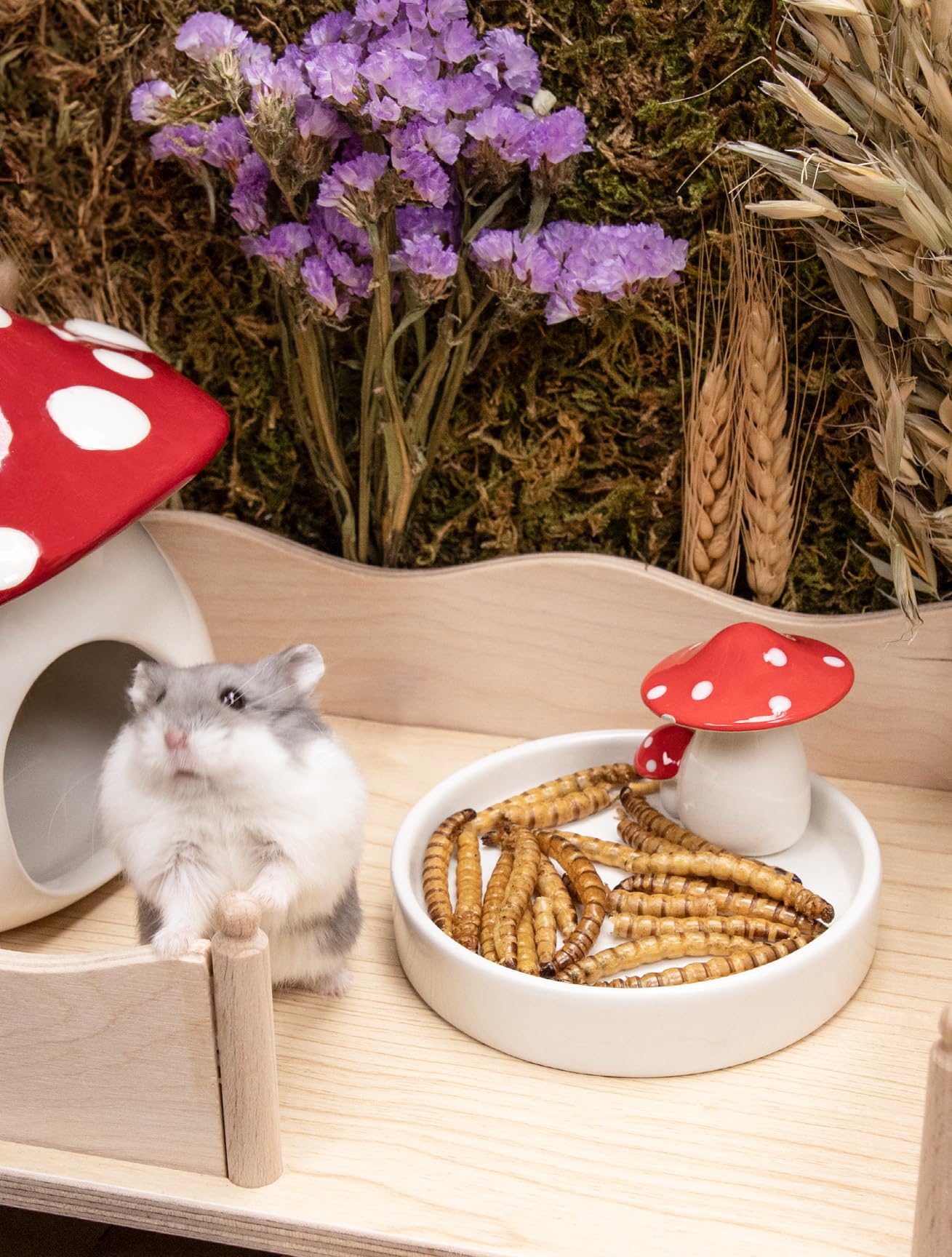 Niteangel golosinas vegetarianas para mascotas pequeñas, impulsan juego y curiosidad.