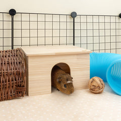 Niteangel hábitat de madera con techo, espacio para explorar y descansar.