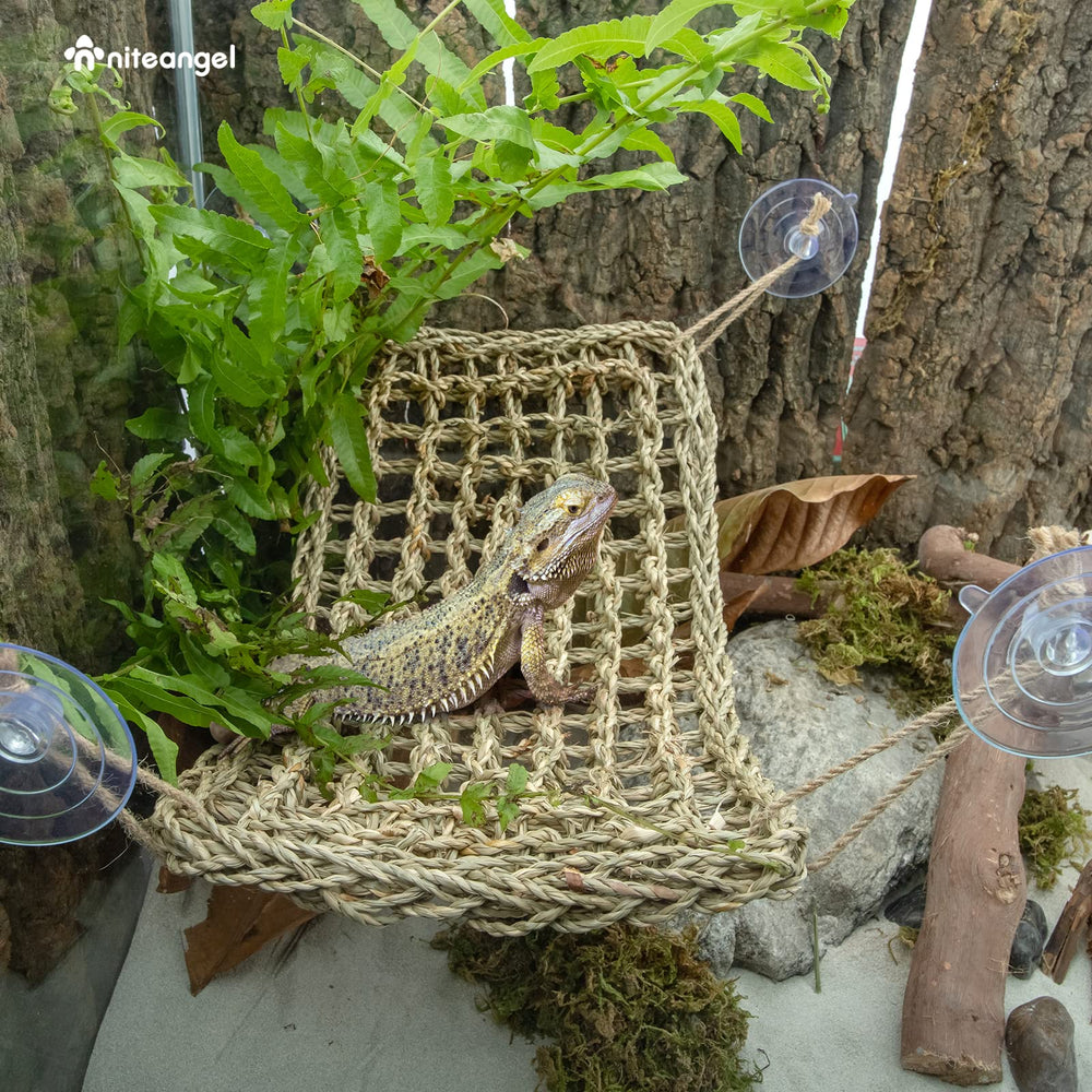Conjunto de hamacas crea gimnasio multinivel para reptiles trepadores.