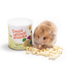 Niteangel Hamster Snack con tofu deshidratado 5mm, premio saludable.