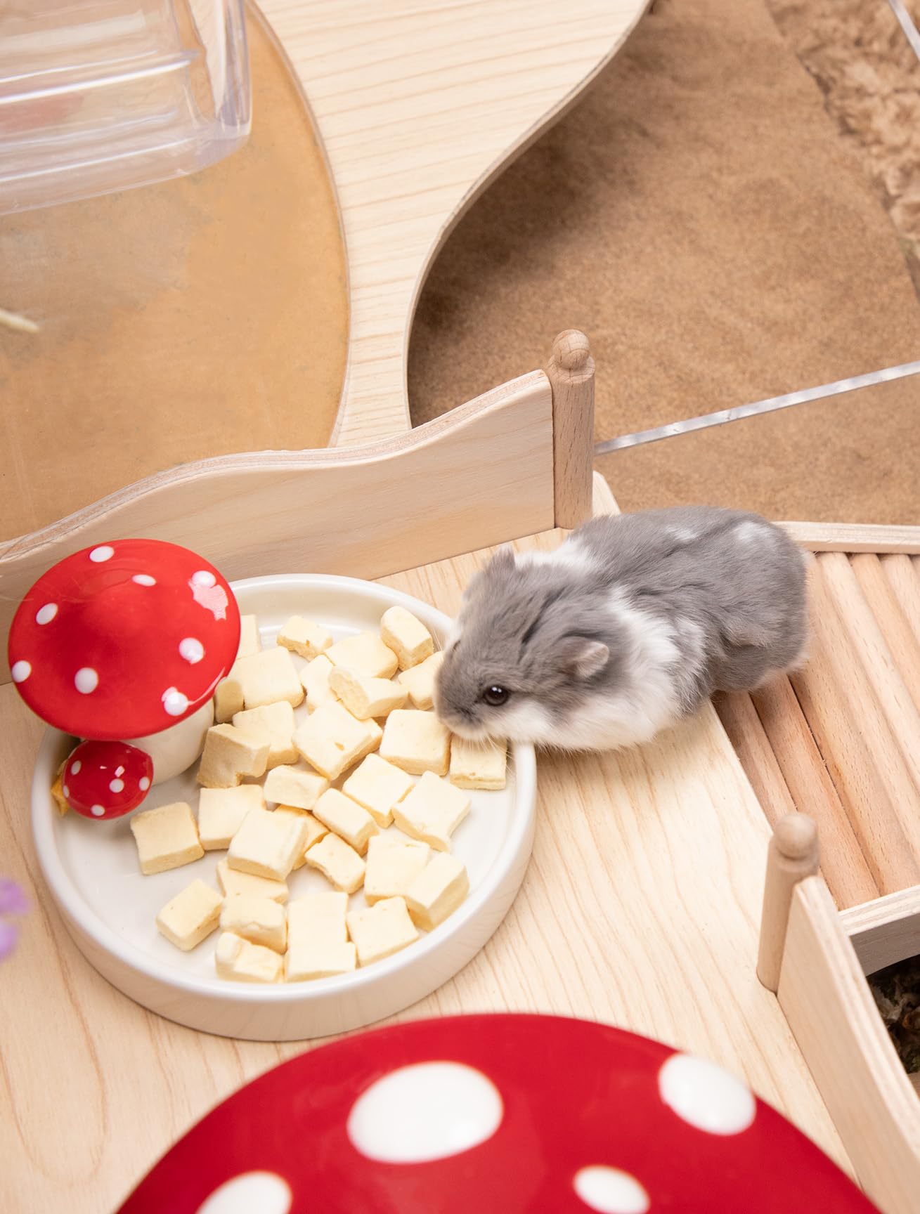 Niteangel Hamster Snack, tofu deshidratado de calidad natural.