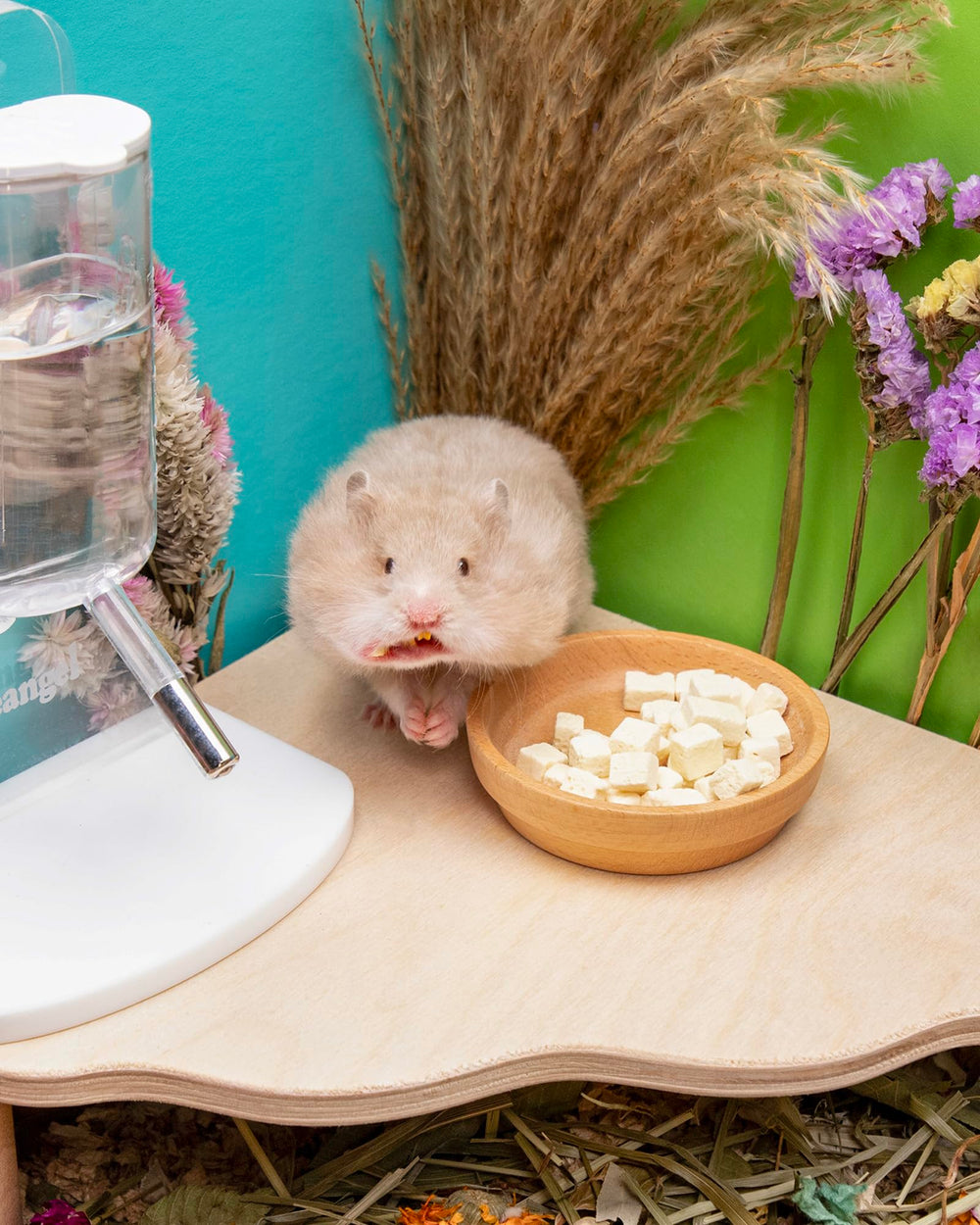 Niteangel Hamster Snack en mano, porciones convenientes para premiar.